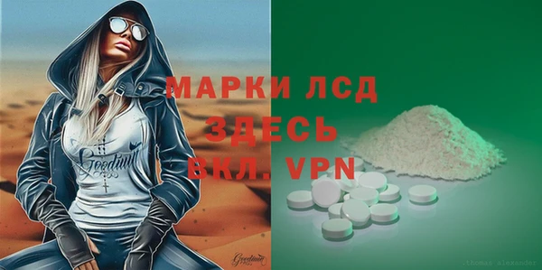 стафф Алзамай