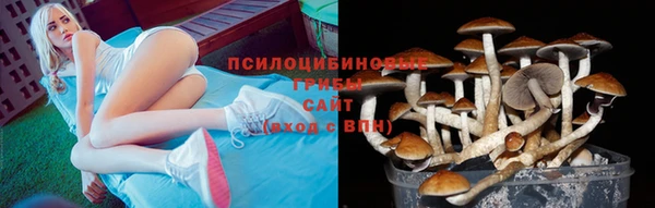 амфетамин Алексеевка
