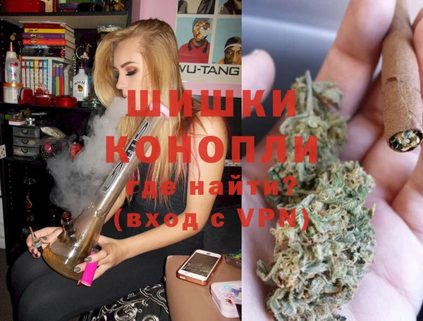 стафф Алзамай